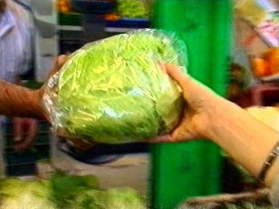 LECHUGA  ALIMENTOS ELABORACION