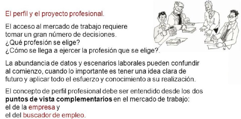 16 PROYECTO PROFESIONAL