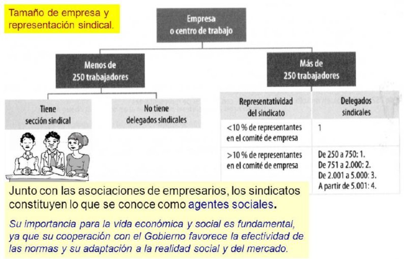 09 DELEGADOS EMPRESA