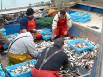 PESCADORES  IMAGEN FOTOGRAFIA