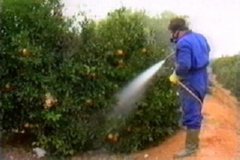 PESTICIDAS  IMAGEN FOTOGRAFIA  397 