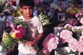 FLORES06 NEGOCIO ESTABLECIMIENTO TIENDA VENTAS