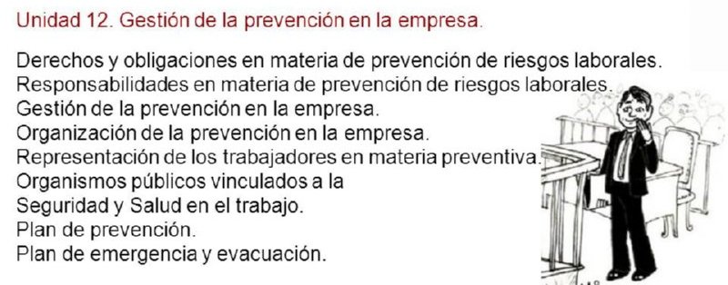 15 GESTION PREVENCION EMPRESA