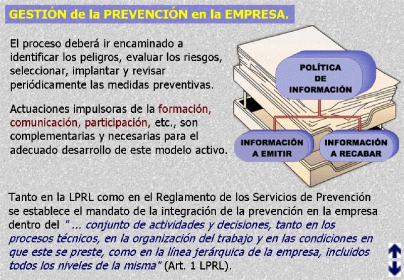 Diapositiva12