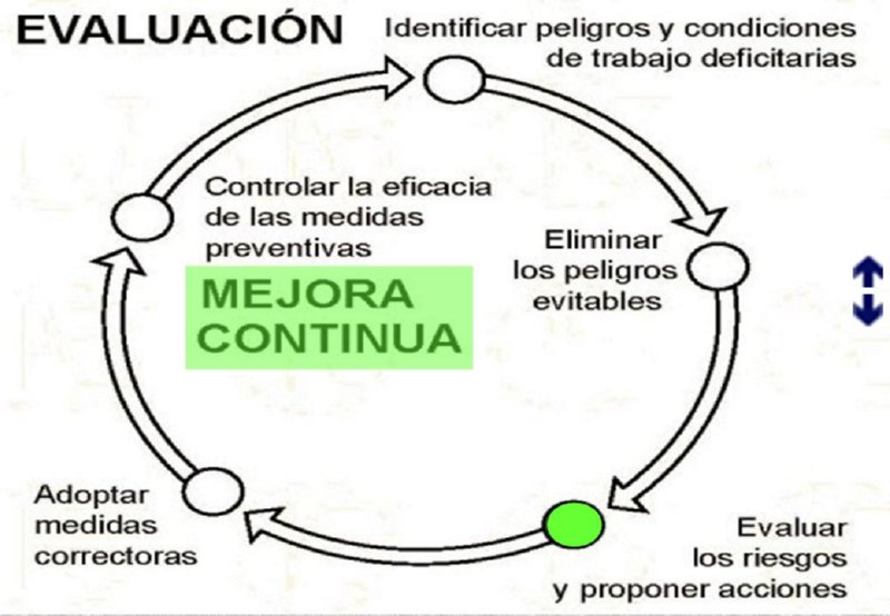 Diapositiva25